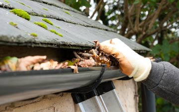 gutter cleaning Forest Hall, Tyne And Wear