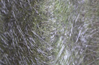 Forest Hall fibreglass roof work